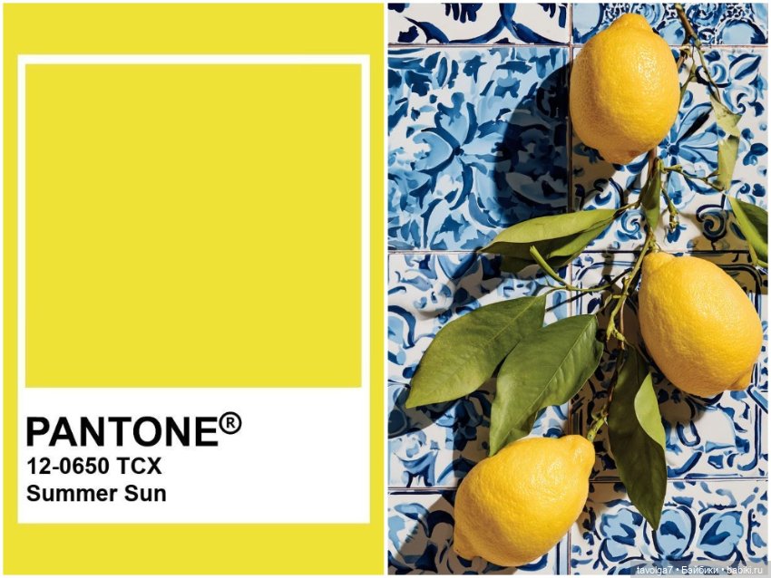 Лимоны - деревья, плоды, цвет, десерты