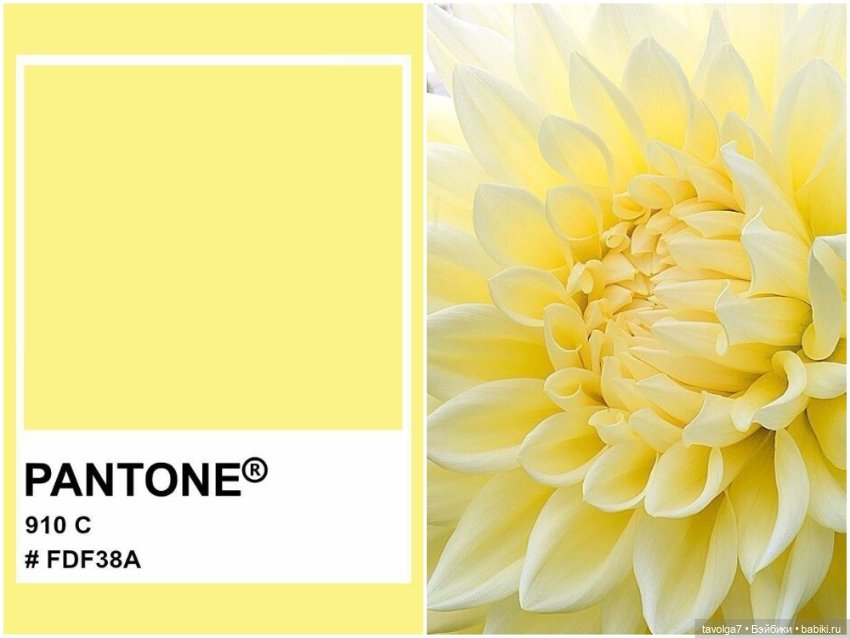 Лимоны - деревья, плоды, цвет, десерты