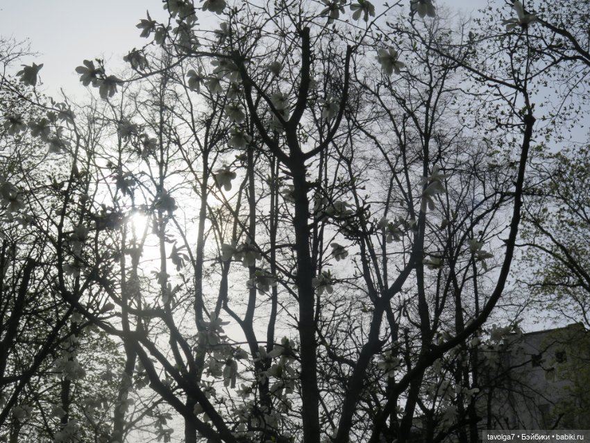 Madam Alexander и мечты о музее (фото 9)