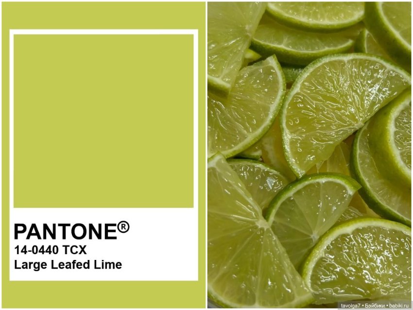 Лимоны - деревья, плоды, цвет, десерты