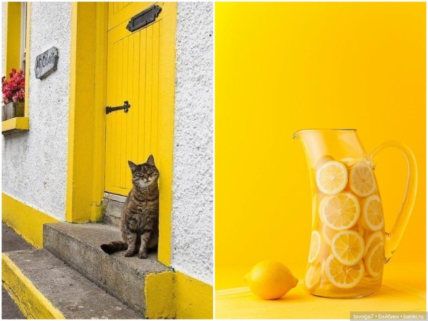 Лимоны - деревья, плоды, цвет, десерты