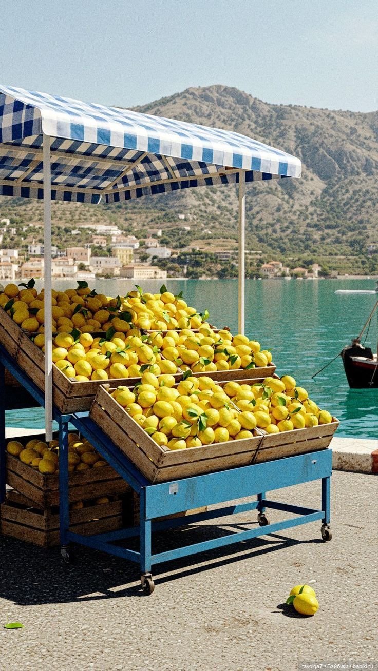 Лимоны - деревья, плоды, цвет, десерты (фото 6)