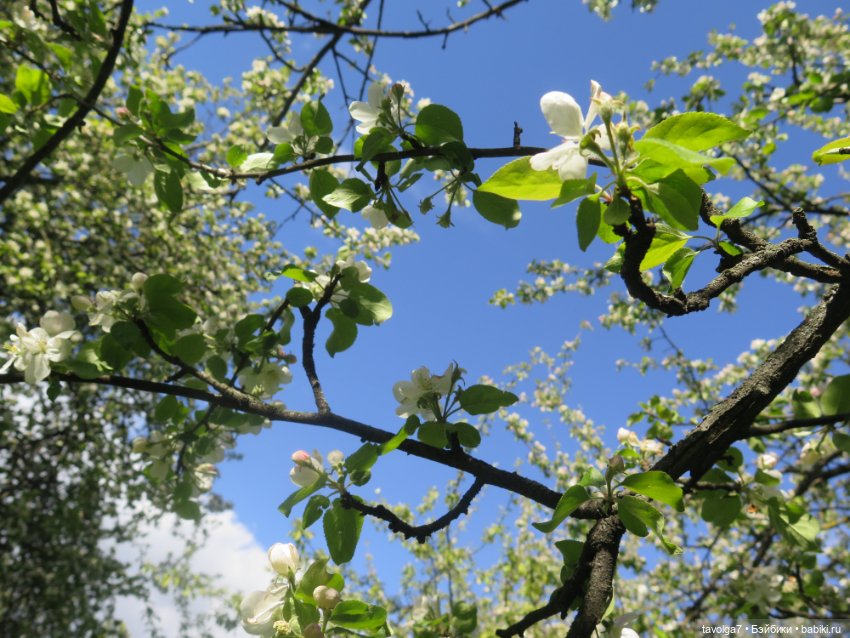 Madam Alexander и мечты о музее