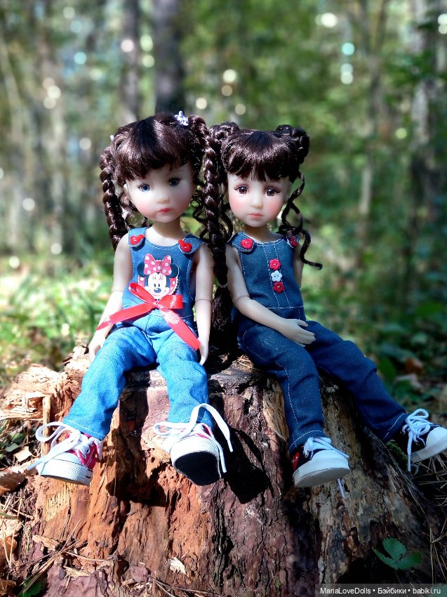 Малышка победы — Куклы Ruby Red (Руби Ред) Fashion Friends: Siblies