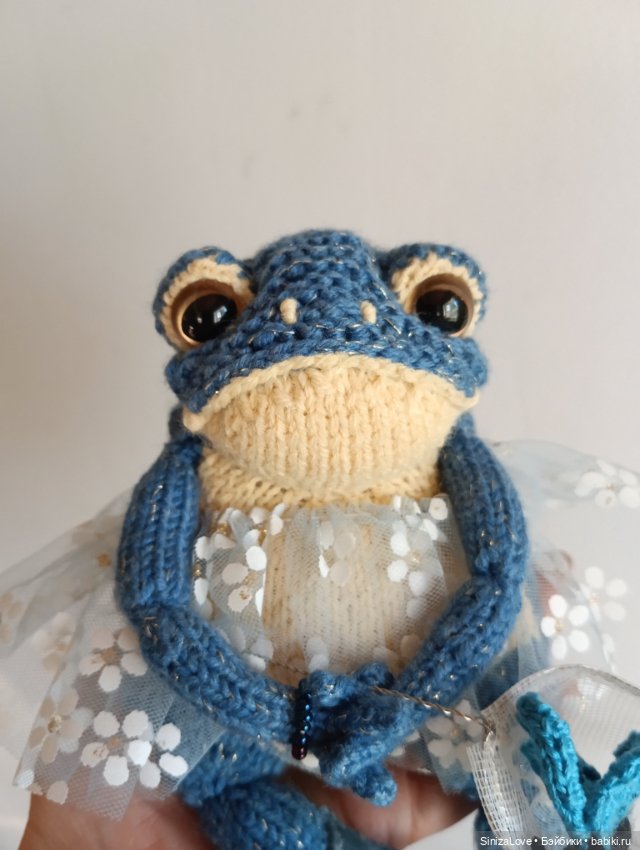 Жабки-туристки Ванда и Варда (фото 5)