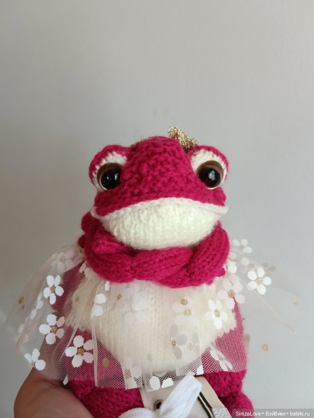 Жабки-туристки Ванда и Варда (фото 4)