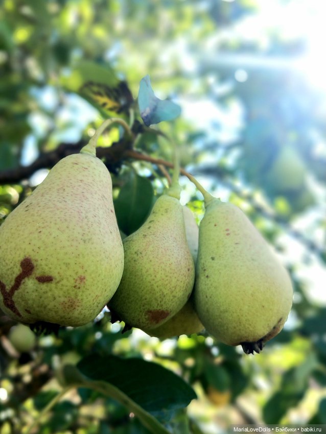 Авось кто и вспомнит — Куклы Ruby Red (Руби Ред) Fashion Friends: Siblies