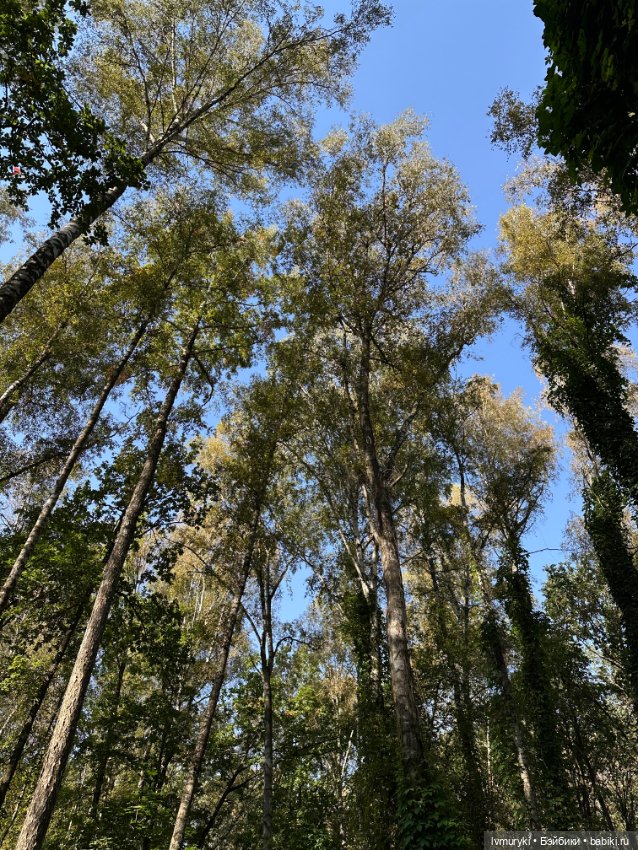 Мариночка Ruby Red 🍁🍁🍁 — Куклы Ruby Red (Руби Ред) Fashion Friends: Siblies