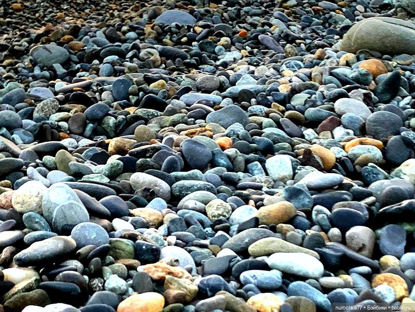 Про Нафочку. Нафочкин купальник