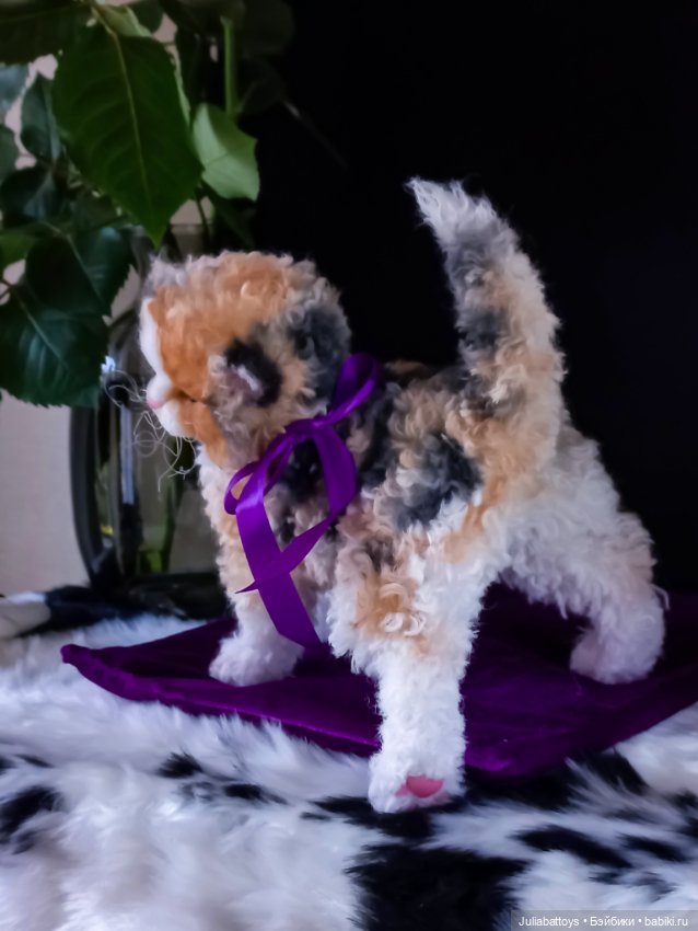 Котенок селкирк рекс 🤍🖤🧡 — Игрушки в смешанной технике (мех и глина): Арт (фото 4)