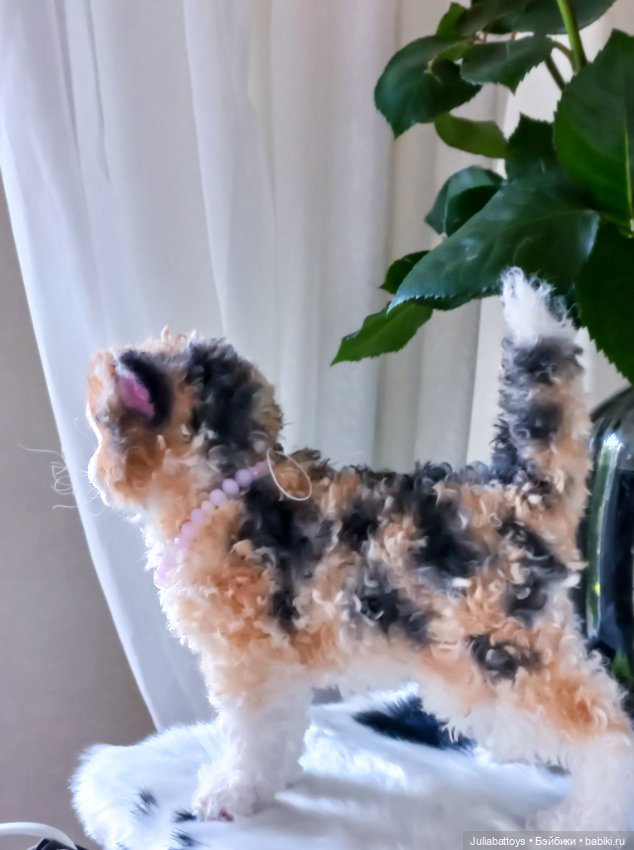 Котенок селкирк рекс 🤍🖤🧡 — Игрушки в смешанной технике (мех и глина): Арт (фото 2)