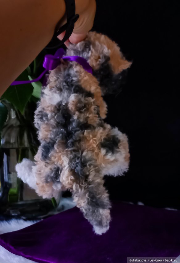 Котенок селкирк рекс 🤍🖤🧡 — Игрушки в смешанной технике (мех и глина): Арт (фото 5)