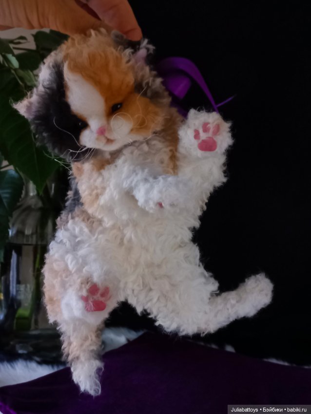 Котенок селкирк рекс 🤍🖤🧡 — Игрушки в смешанной технике (мех и глина): Арт (фото 10)