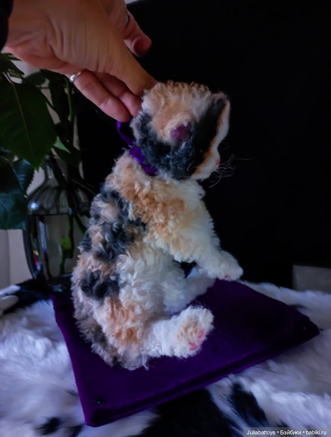 Котенок селкирк рекс 🤍🖤🧡 — Игрушки в смешанной технике (мех и глина): Арт (фото 7)