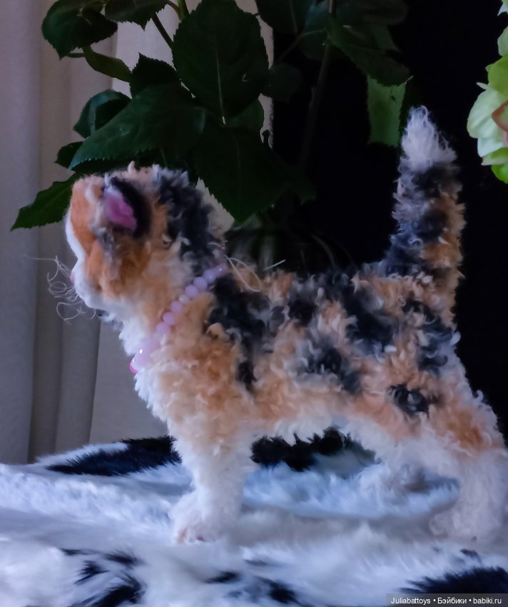 Котенок селкирк рекс 🤍🖤🧡 — Игрушки в смешанной технике (мех и глина): Арт