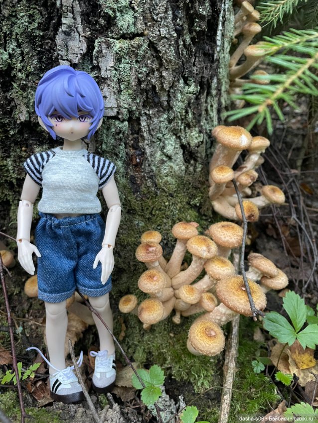 Закрываем грибной сезон) — Куклы Simontoys и Come4Free (Blind Box): Teennar (фото 3)