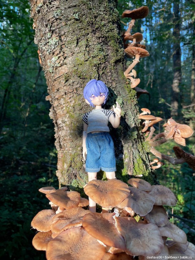 Закрываем грибной сезон) — Куклы Simontoys и Come4Free (Blind Box): Teennar (фото 6)