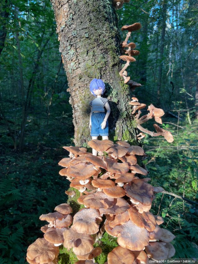 Закрываем грибной сезон) — Куклы Simontoys и Come4Free (Blind Box): Teennar (фото 7)