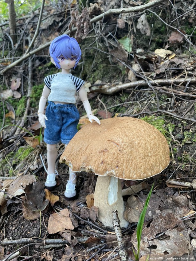 Закрываем грибной сезон) — Куклы Simontoys и Come4Free (Blind Box): Teennar (фото 4)