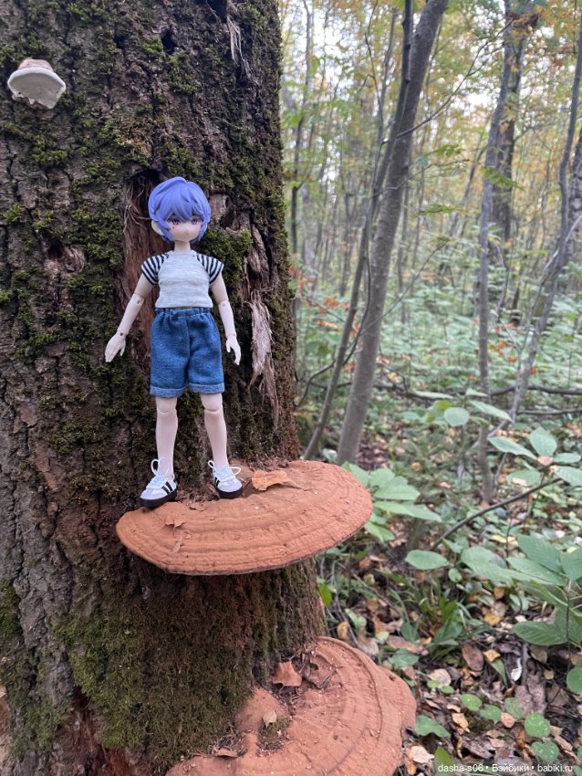 Закрываем грибной сезон) — Куклы Simontoys и Come4Free (Blind Box): Teennar