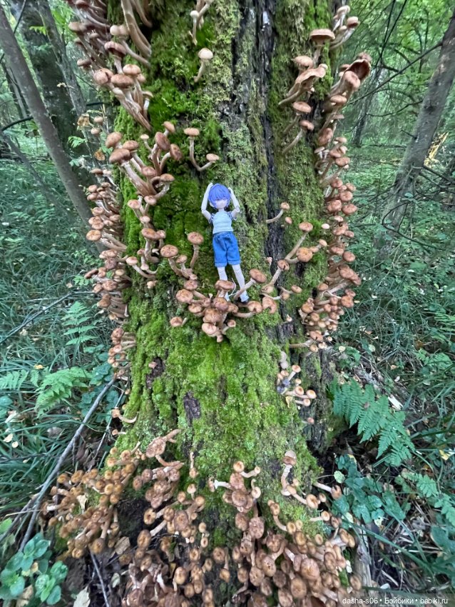 Закрываем грибной сезон) — Куклы Simontoys и Come4Free (Blind Box): Teennar (фото 9)