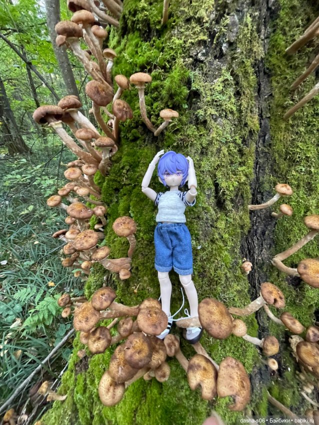 Закрываем грибной сезон) — Куклы Simontoys и Come4Free (Blind Box): Teennar (фото 8)