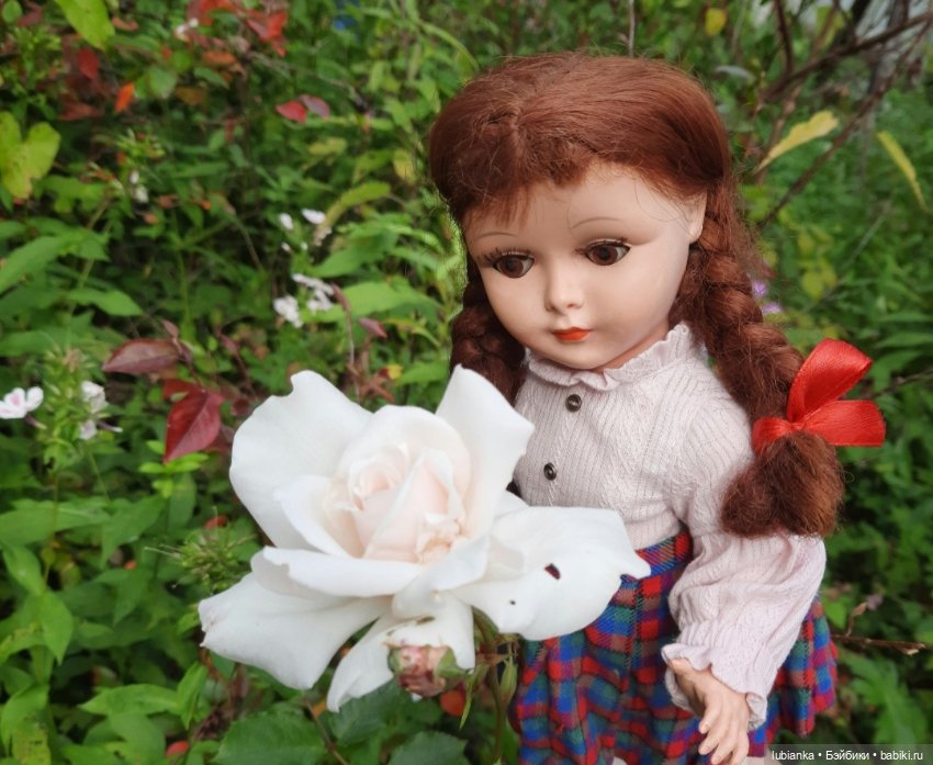 Третья Белла-пятидесятница🌼🌸🌻 (фото 10)