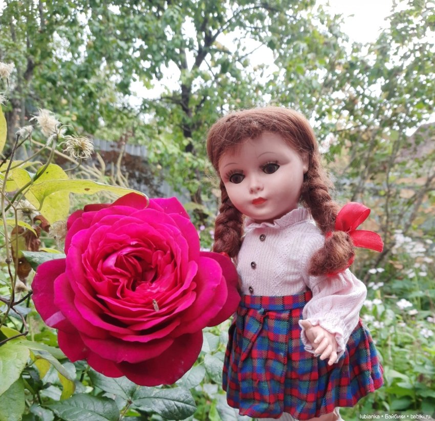 Третья Белла-пятидесятница🌼🌸🌻