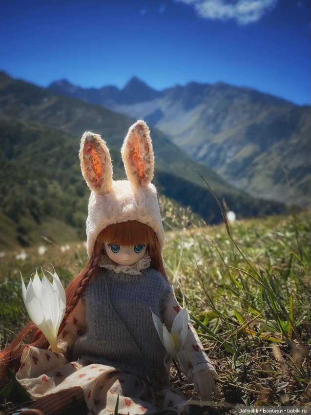 Лесные зарисовки. Рави — Куклы Azone (Азон) и тела Pure Neemo: фото