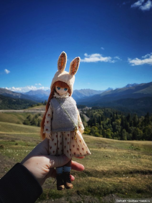 Лесные зарисовки. Рави — Куклы Azone (Азон) и тела Pure Neemo: фото