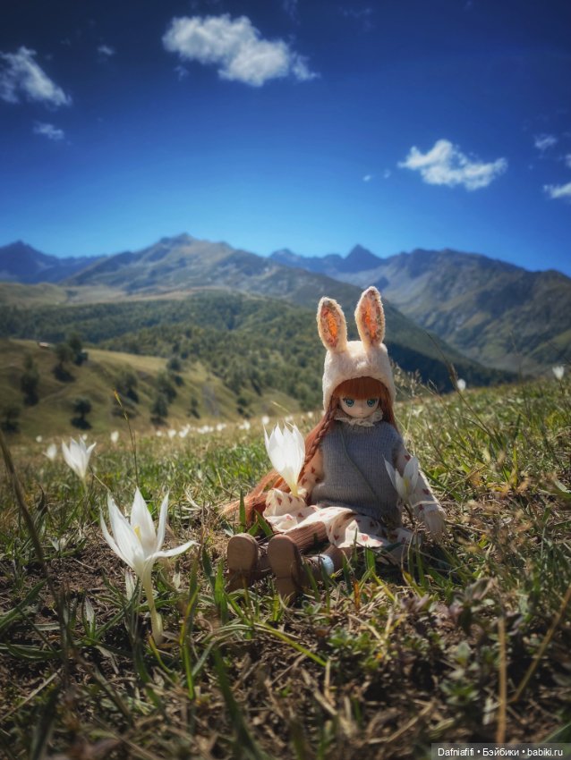 Лесные зарисовки. Рави — Куклы Azone (Азон) и тела Pure Neemo: фото