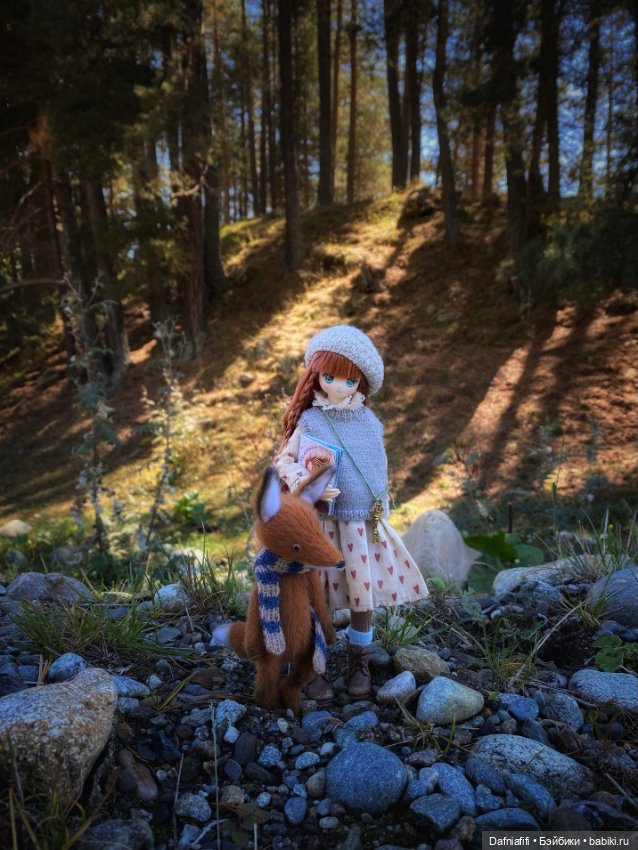 Лесные зарисовки. Рави — Куклы Azone (Азон) и тела Pure Neemo: фото