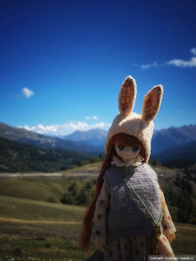 Лесные зарисовки. Рави — Куклы Azone (Азон) и тела Pure Neemo: фото