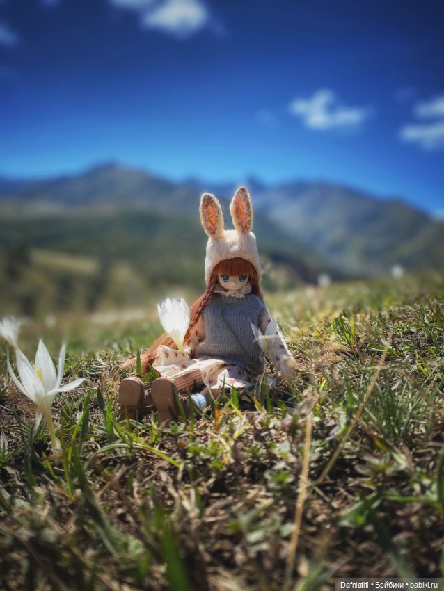 Лесные зарисовки. Рави — Куклы Azone (Азон) и тела Pure Neemo: фото