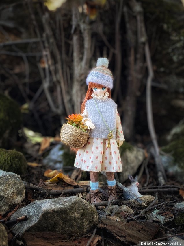 Лесные зарисовки. Рави — Куклы Azone (Азон) и тела Pure Neemo: фото (фото 2)