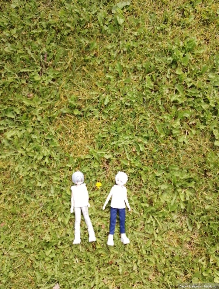 Zack event. Заки в парке)