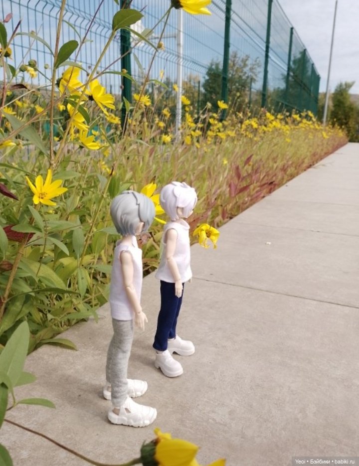 Zack event. Заки в парке) (фото 2)