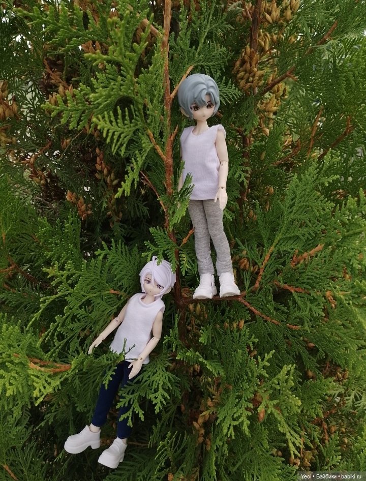 Zack event. Заки в парке)