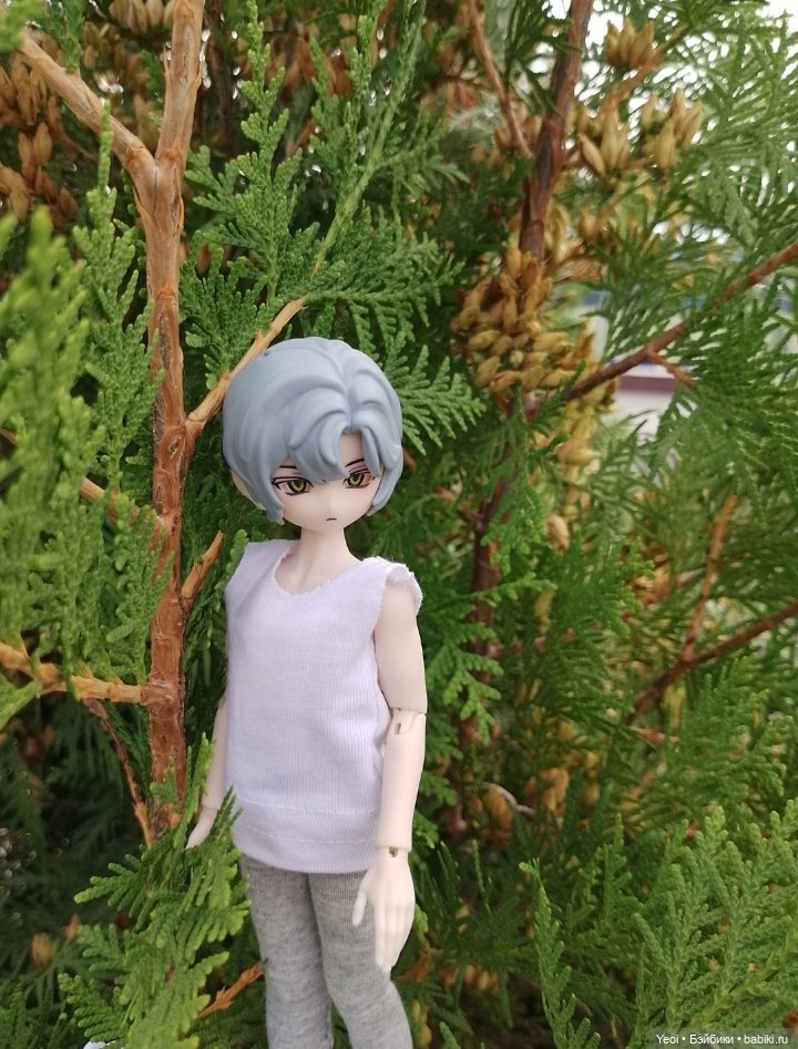 Zack event. Заки в парке)