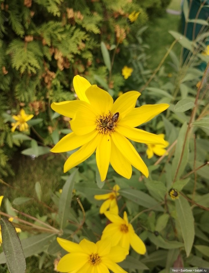 Zack event. Заки в парке) (фото 3)