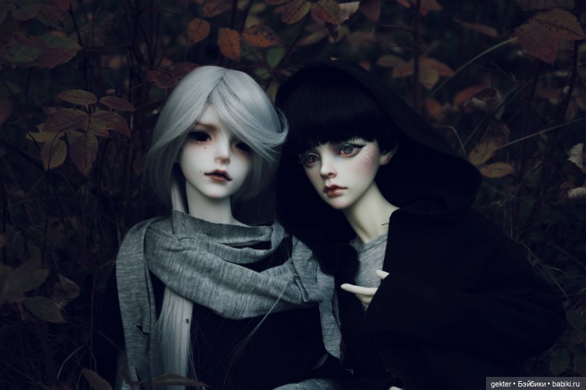 🍂𝓛𝓲𝓴𝓪𝔂 & 𝓔𝓶𝓲𝓵𝓮𝓽 🍂 — Куклы Dollzone (Доллзон): BJD (БЖД) (фото 9)