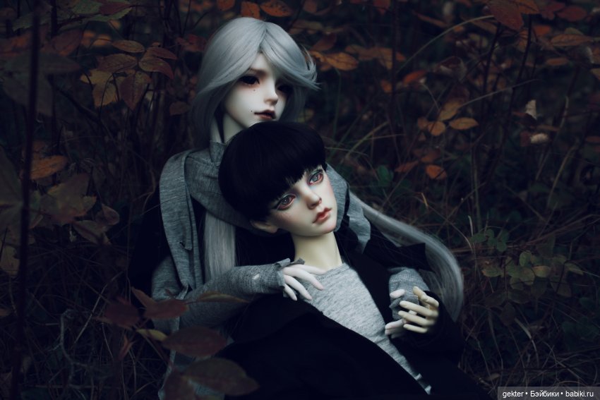 🍂𝓛𝓲𝓴𝓪𝔂 & 𝓔𝓶𝓲𝓵𝓮𝓽 🍂 — Куклы Dollzone (Доллзон): BJD (БЖД)