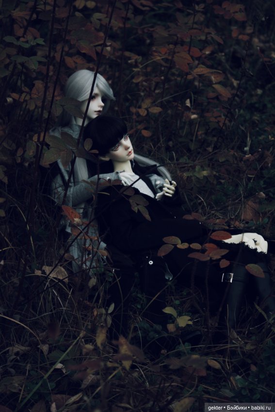 🍂𝓛𝓲𝓴𝓪𝔂 & 𝓔𝓶𝓲𝓵𝓮𝓽 🍂 — Куклы Dollzone (Доллзон): BJD (БЖД)