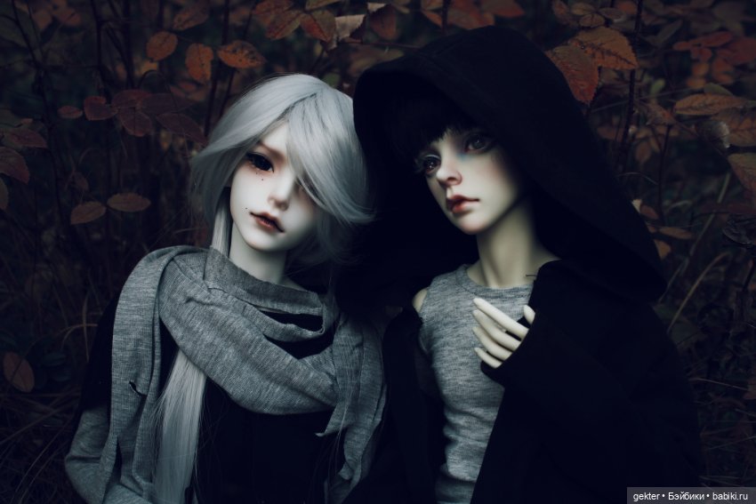 🍂𝓛𝓲𝓴𝓪𝔂 & 𝓔𝓶𝓲𝓵𝓮𝓽 🍂 — Куклы Dollzone (Доллзон): BJD (БЖД) (фото 7)