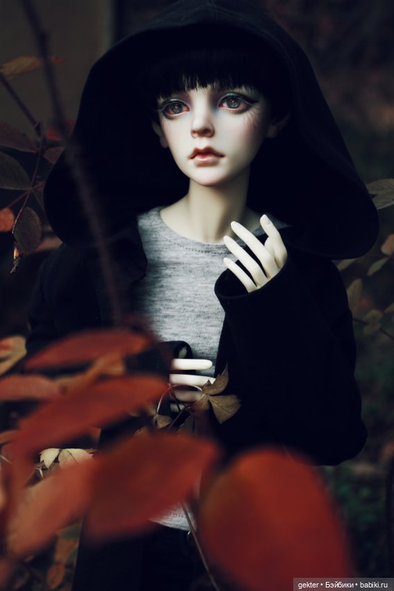 🍂𝓛𝓲𝓴𝓪𝔂 & 𝓔𝓶𝓲𝓵𝓮𝓽 🍂 — Куклы Dollzone (Доллзон): BJD (БЖД) (фото 2)
