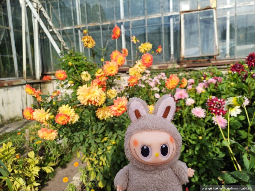 Васька в ботаническом саду