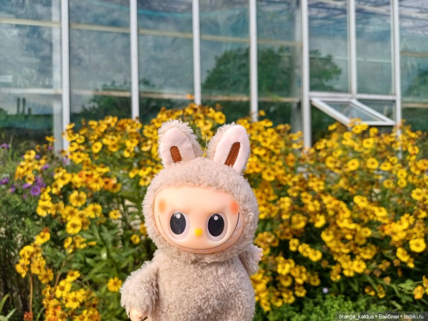 Васька в ботаническом саду (фото 7)