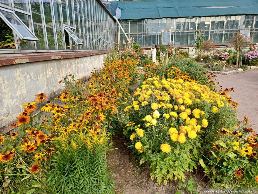 Васька в ботаническом саду