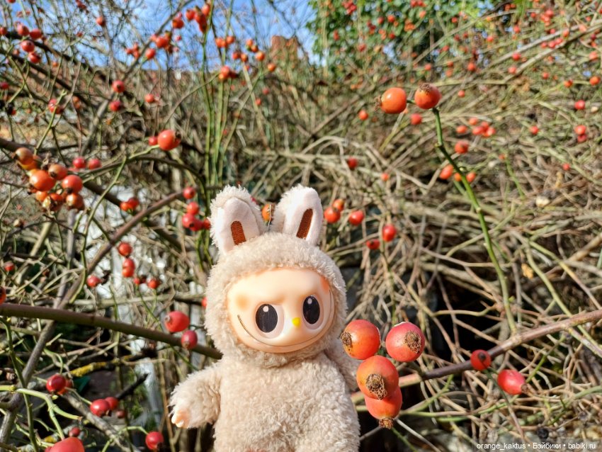 Васька в ботаническом саду