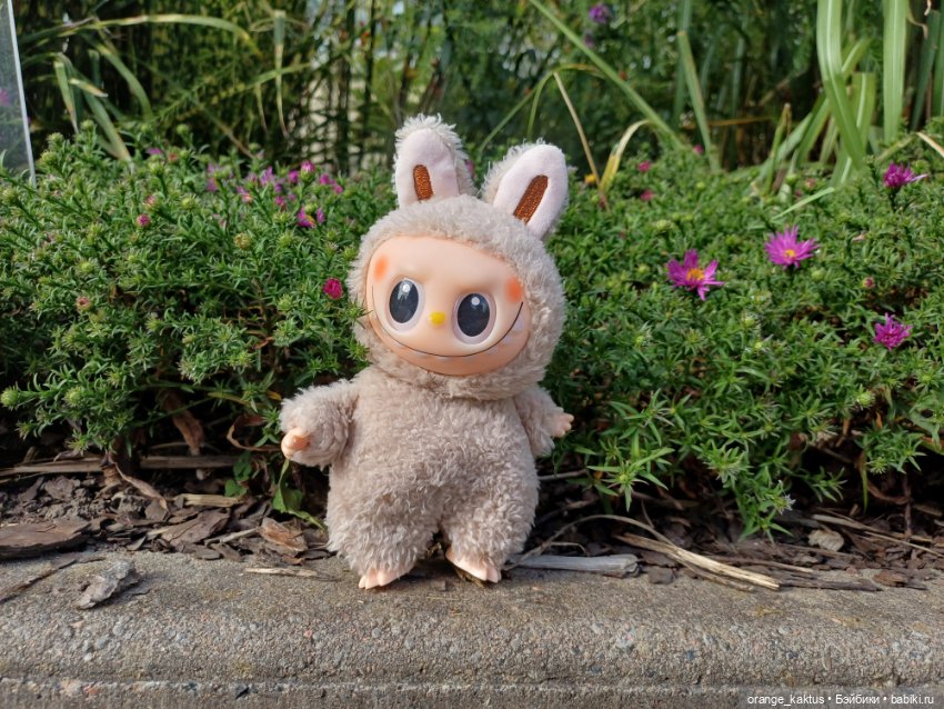 Васька в ботаническом саду (фото 6)